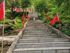 -湖洞水自然风景区