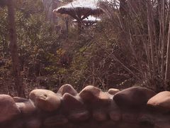 -深业半汤御泉庄温泉