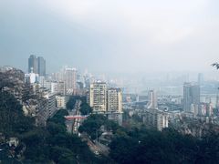 -颜氏双江清水鱼一养身火锅(磁器口店)