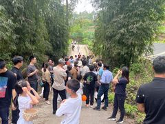 -桃源山庄·水蜜桃采摘·柴火鸡·烧烤团建(龙泉山店)