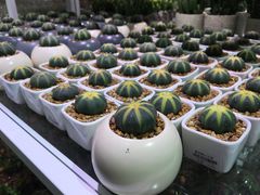 -KKV(深圳宏发大仟里店)