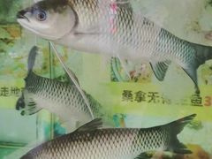 -凯盈阁·顺德私房菜·桑拿鸡