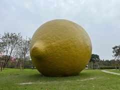 -顺峰山公园