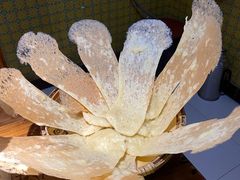 -即墨老公社·海肠捞饭大王(古城店)