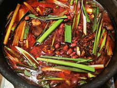 -黔有有贵州酸汤夺夺粉火锅(五味十字店)