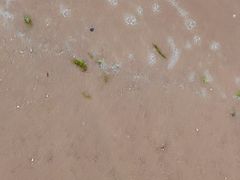-日照海滨国家森林公园