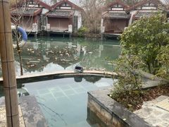 -深业半汤御泉庄温泉