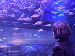 -成都浩海立方海洋公园