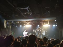 -坚果NUTS