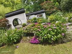 -上海共青森林公园