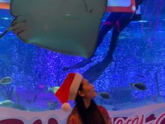 -沈阳海洋探索中心