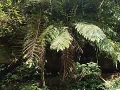 -赤水丹霞旅游区·佛光岩