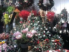 -双季花艺园艺市场(浦东店)