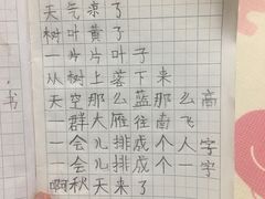 -赵汝飞练字硬笔书法(博泰国际校区)
