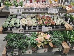 -鹿岛生活(熙地港店)