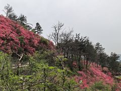 -木兰云雾山