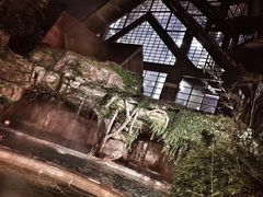 -韶关经律论国际酒店温泉