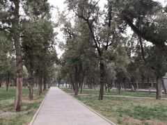 -关林