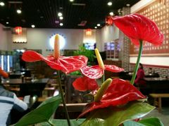 -丝丝香王凉粉(汇宇店)