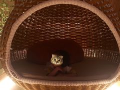 -蓝鲸湾汤泉(包河店)