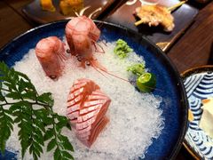 -鸟鹏烧鸟居酒屋(熙龙湾店)