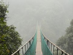 -云南屏边大围山国家公园