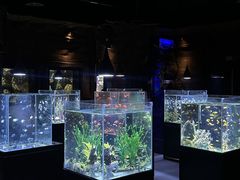 -锦艺城海洋馆