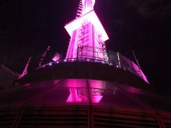 -339旋转餐厅(天府熊猫塔店)