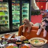 这也太适合和朋友聚会了吧！！！