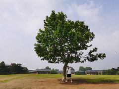 -钟山体育运动公园