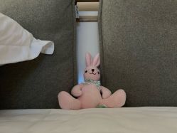 -母仪天下月子中心(光谷店)