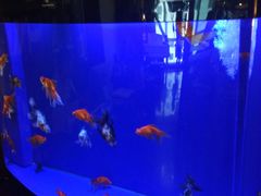 -圣典成人钢琴俱乐部(国贸旗舰校区)