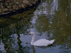 -秦皇岛野生动物园