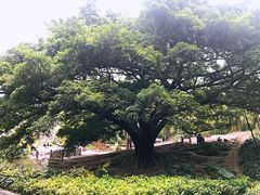 -晓港公园