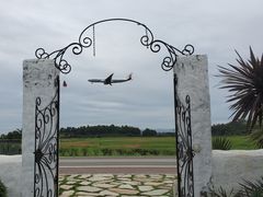 -空港花田景区
