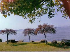 -东湖生态旅游风景区