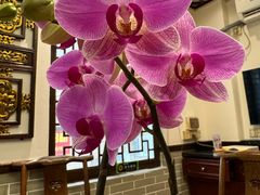 -山水茶艺馆·点心粤菜·30年老字号