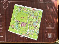 -东平国家森林公园