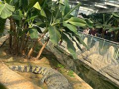 -石家庄市动物园