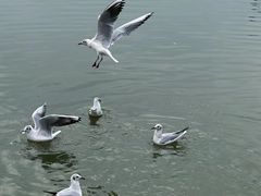 -小普陀