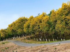 -绿堤公园