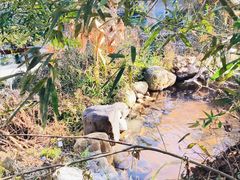 -天芳悦潭度假村温泉