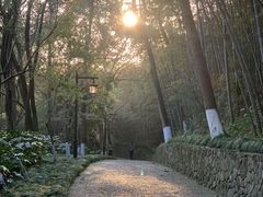 -杭州半山国家森林公园