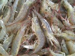 -大连双兴商品城