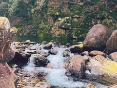 -白云源风景区