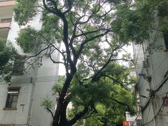 -利雅园酒家(大沙地店)