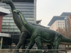 -河南自然博物馆