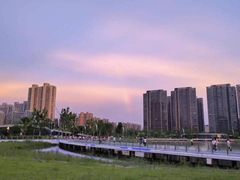 -金沙湖公园