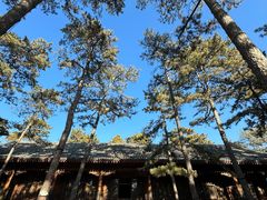 -承德避暑山庄景区