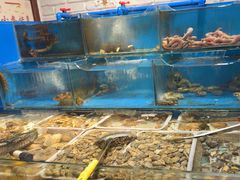 -潮庭·大连海鲜·炭火烧烤·扇贝王(大连店)